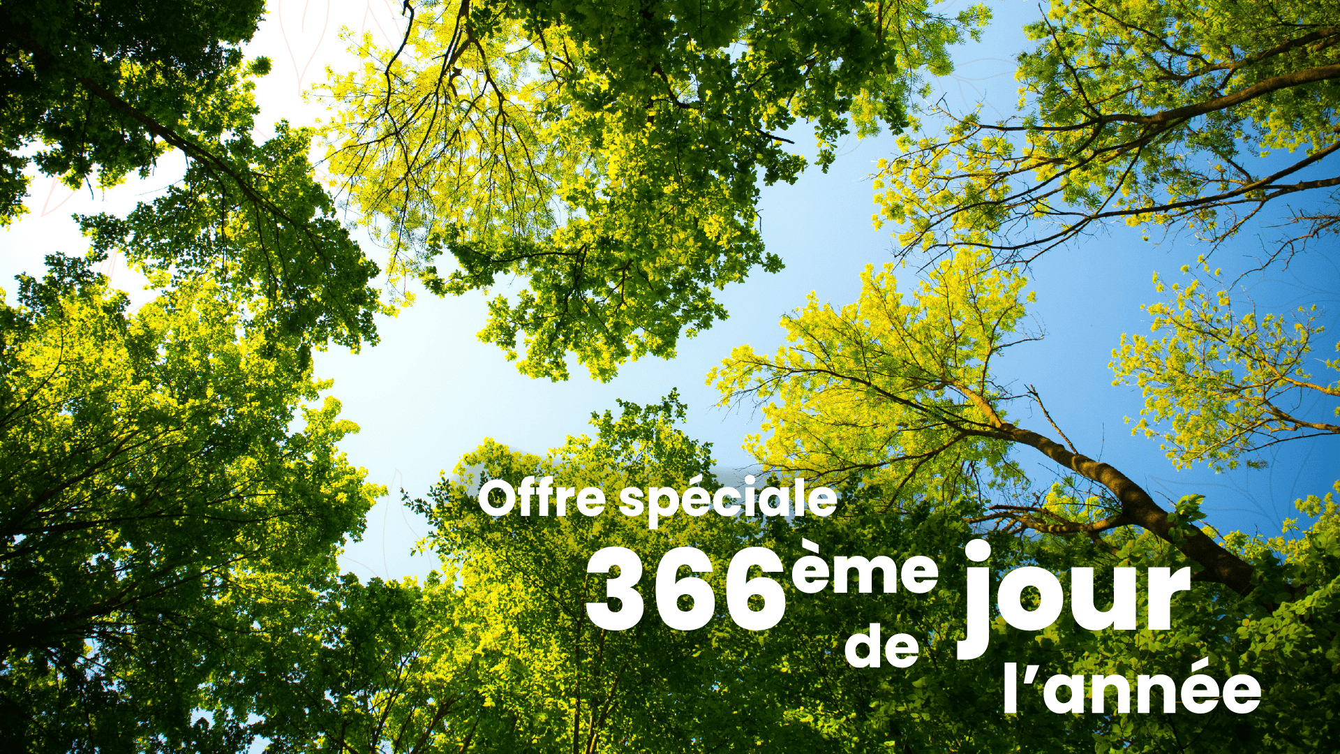 Offre 336eme jour site