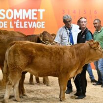 sommet-de-l-elevage_6922497