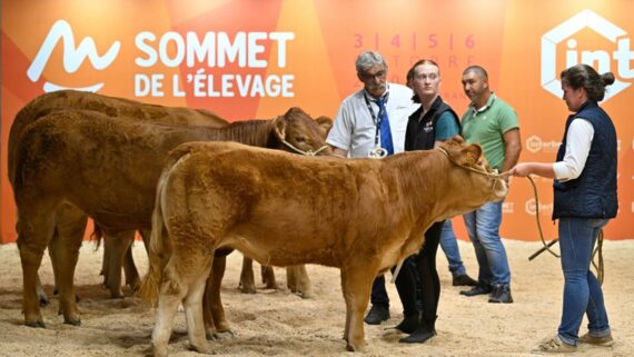 La Montagne soutient les innovations du monde agricole