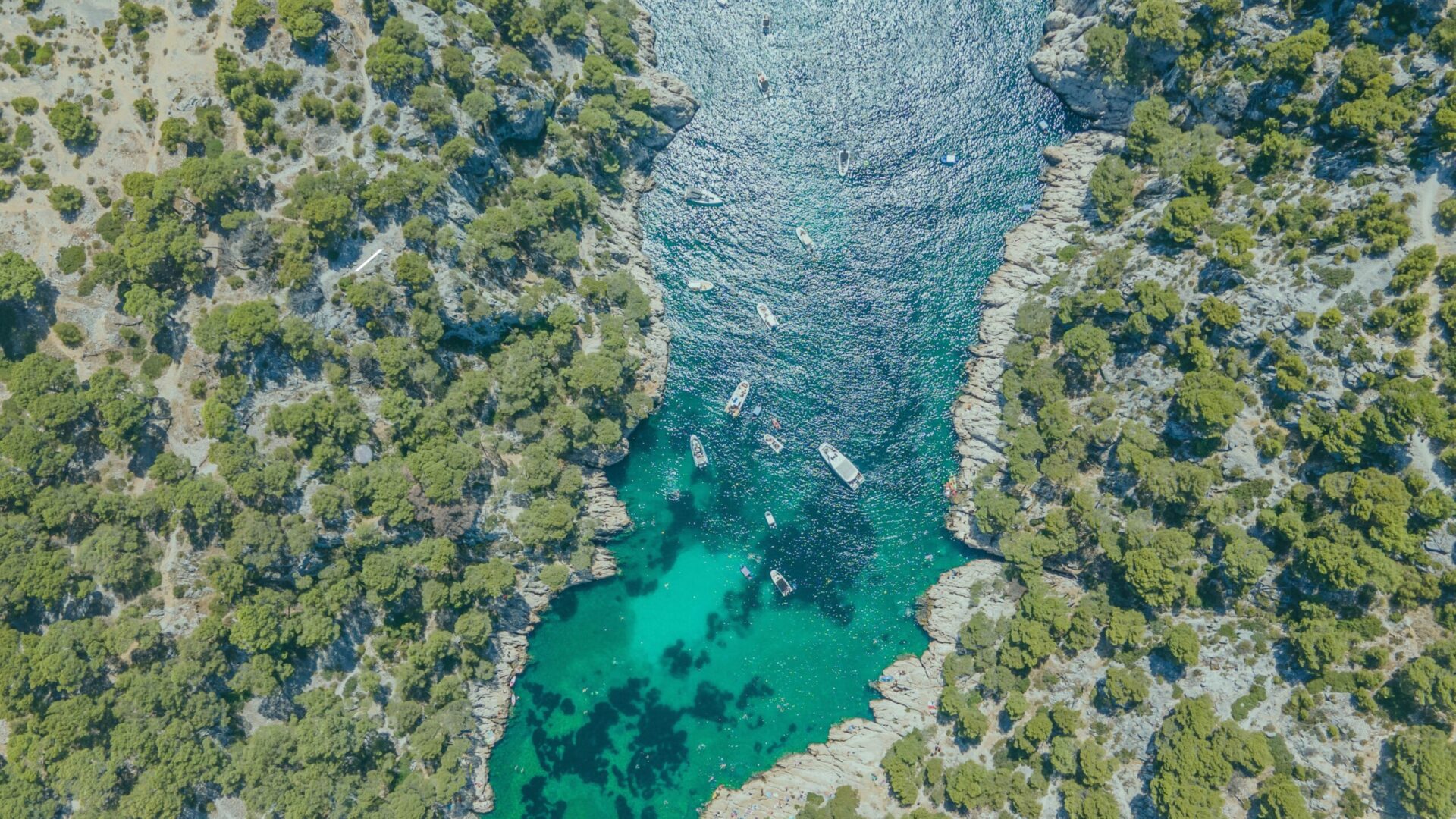 Visuel été data